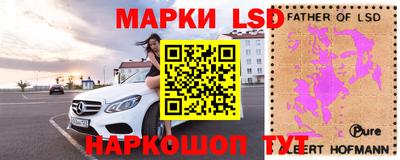 гидра Кандалакша