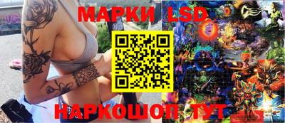гидра Кандалакша