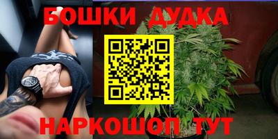 твердый Камышлов