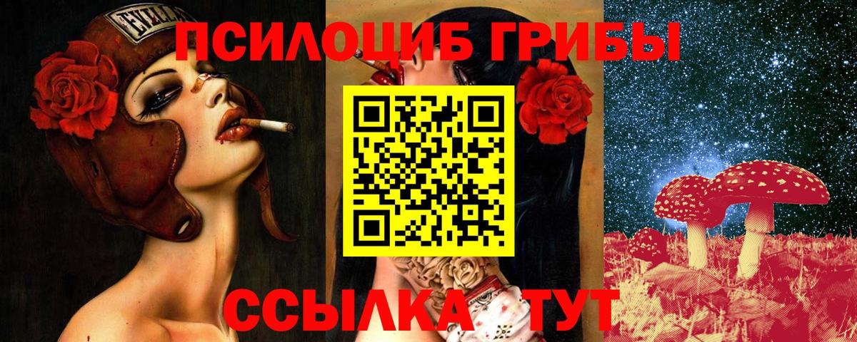 Кумертау  Псилоцибиновые грибы Psilocybine cubensis  Вход с VPN 
